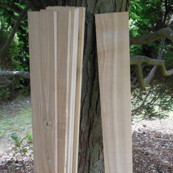 Esche-Brett-Holz